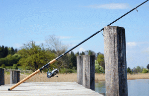 Fishing-Rod