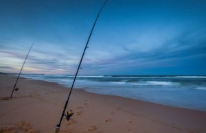 Beach Fishing Rods