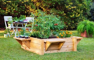 Raised Beds