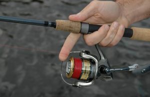 Fishing Rod, Reel and Mono Line