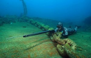 Spearfishing-Fins