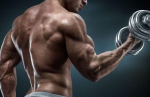 pre workout citrulline malate