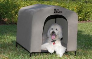 dog houses