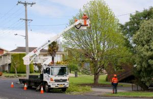 powerline service