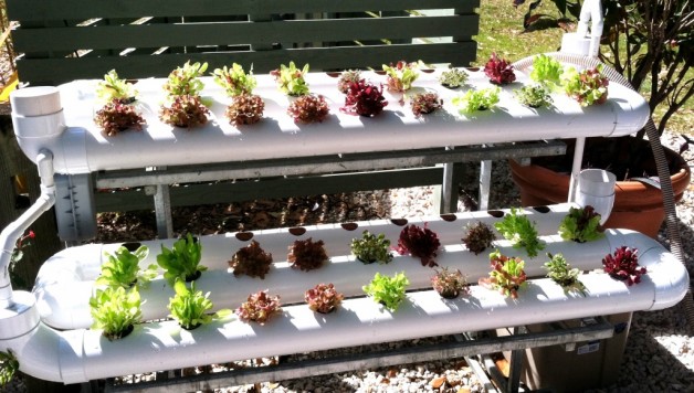 home hydroponics systems