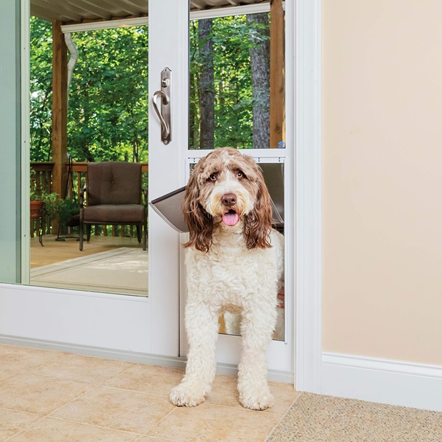 pet dog door for glass